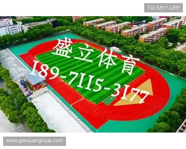 邵阳市足球场周边设施规划与发展展望助力城市体育文化繁荣