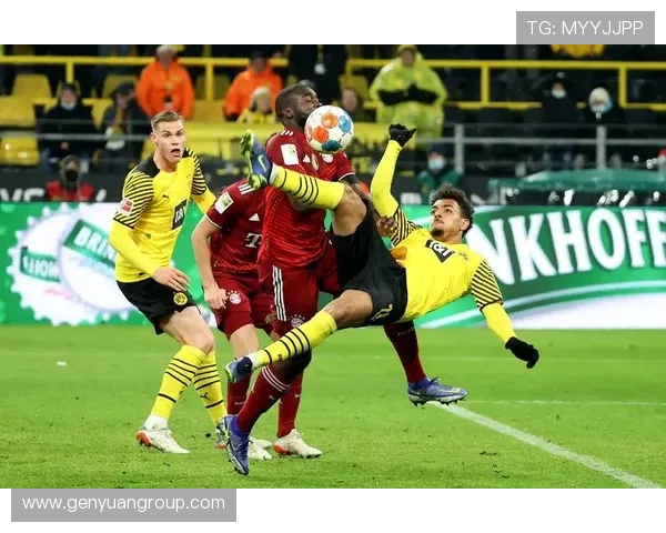 德甲劲旅全景解析：从拜仁慕尼黑到多特蒙德的足球传奇与发展历程